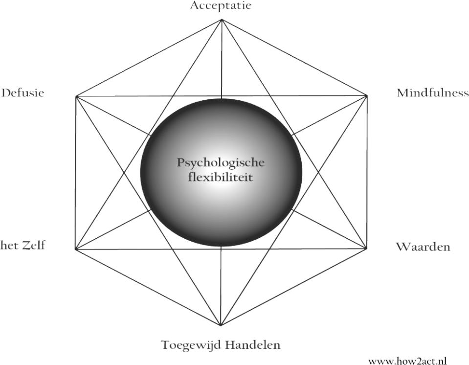 schema-ACT